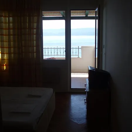 Agava-mirjana * Omiš