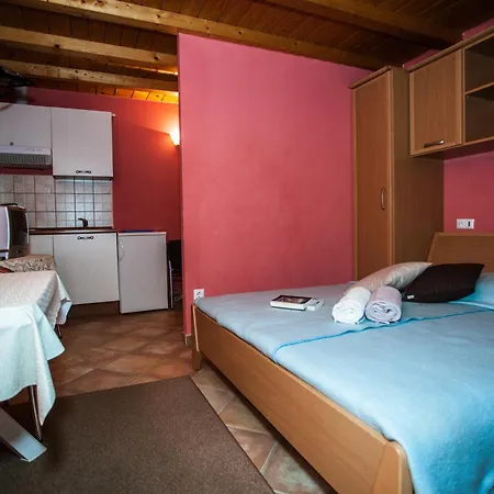 Agava-mirjana * Omiš